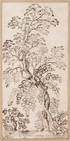 K V 080
<br/>
Boomstudie
<br/>
<em>Onofri, Crescenzio (1634-1714)</em>